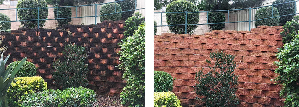 paved garden wall cleaning Central Coast