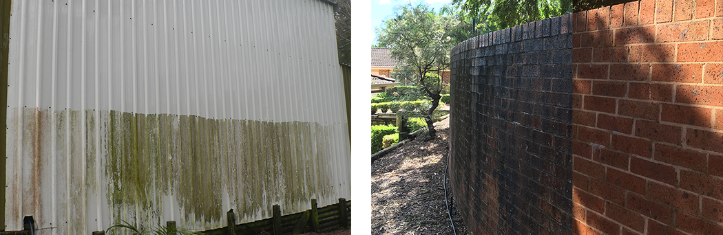 high pressure shed mould, brick cleaning Central Coast NSW